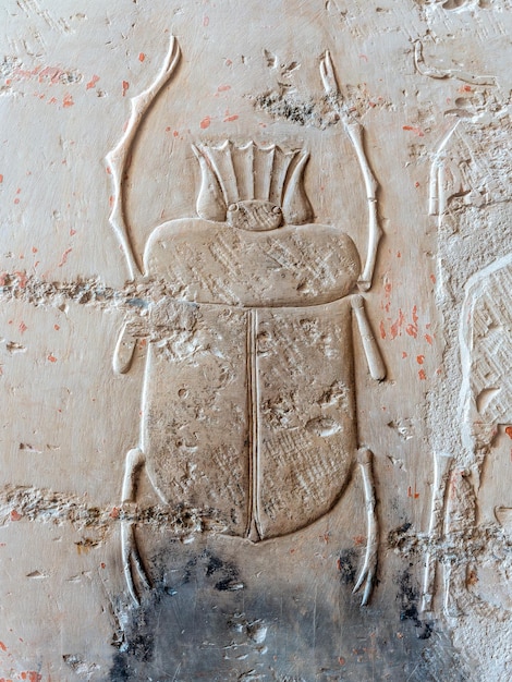 Hieroglyfen in de Vallei der Koningen Luxor Egypte