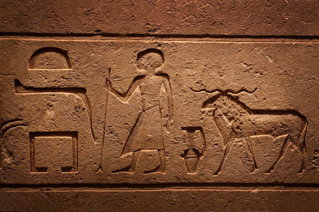 写真 古代の神殿の選択的な焦点における古代エジプトの石棺の象形文字の彫刻