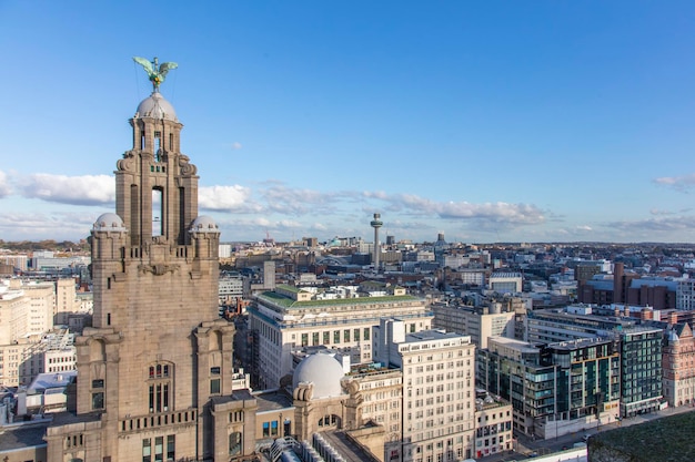 High aerial view of the royal liver building and liverpool city skyline