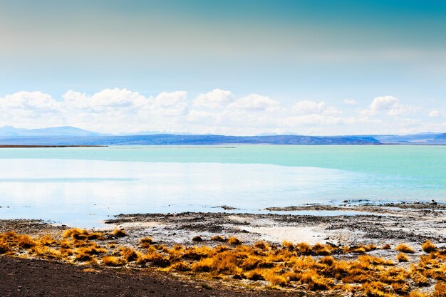 High-altitude lagoon in Altiplano plateau, Bolivia. South America landscapes