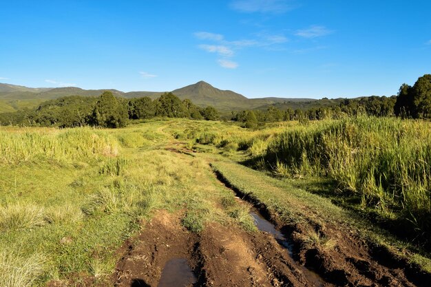 High altitude moorland against a scenic mountain landscapes of mount kenya