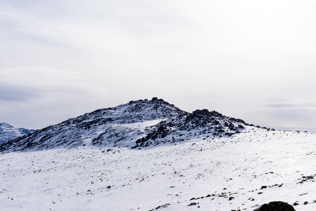 写真 コンジャコフスキーカメン山付近のウラル山脈北部の高地亜寒帯景観