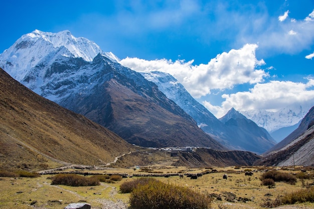 High Altitudes of Manaslu Circuit Trek With Snowy Peaks and Valleys in the Himalayas of Nepal