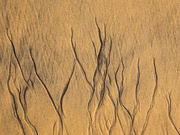 Photo high angel view of water rivuletsl structures in beach sand