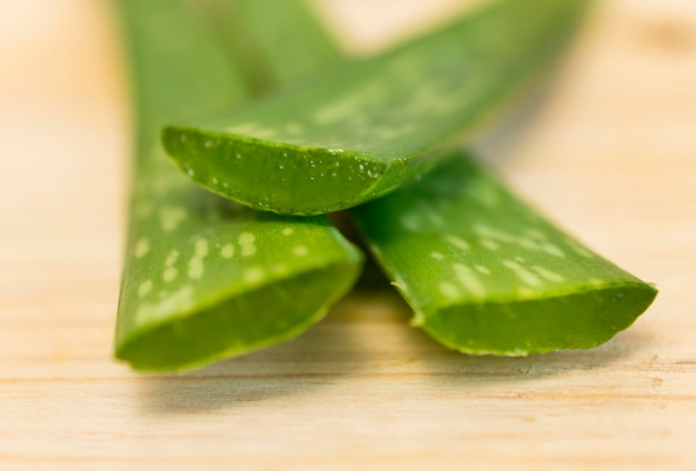 High angle of aloe vera leaves