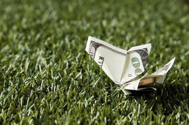 High angle of banknote and coin in grass with copy space