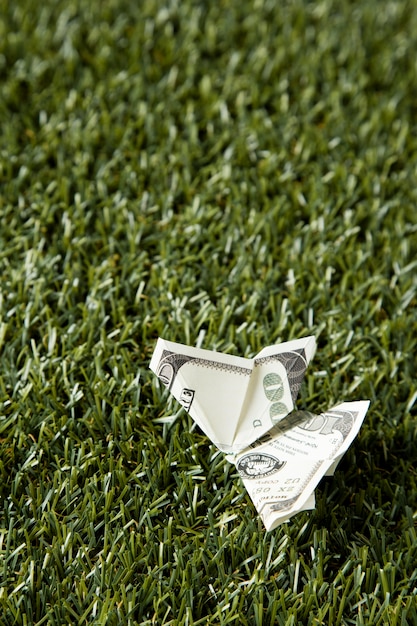 High angle of banknote in grass with copy space