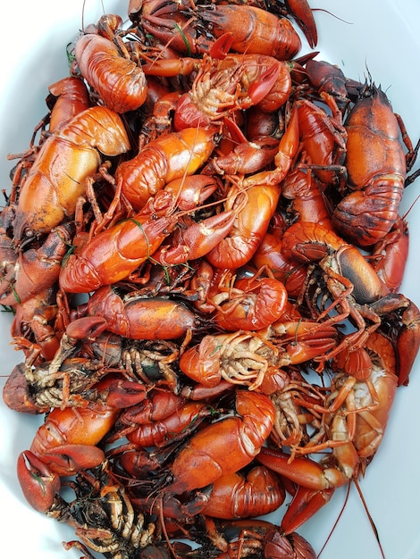 Photo high angle close-up of crayfish in bowl