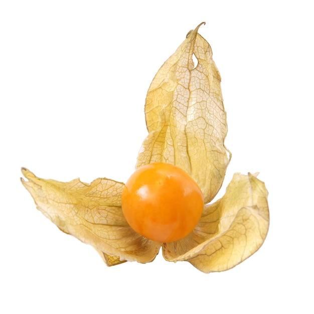 Photo high angle close-up of gooseberry over white background