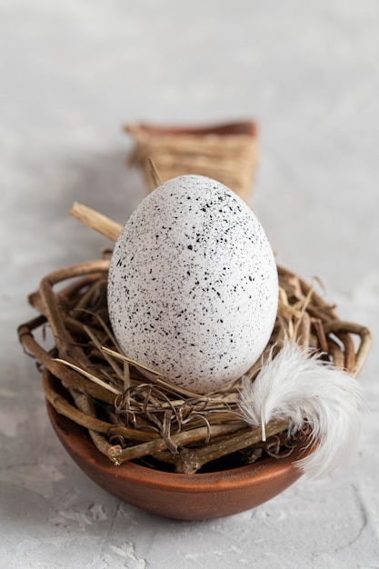 High angle of egg for easter in bird nest with feather