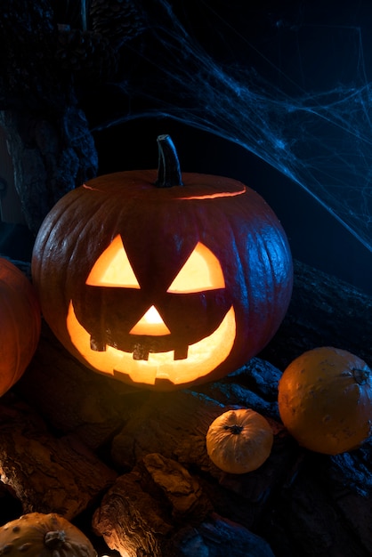 High angle halloween pumpkins with spiderweb