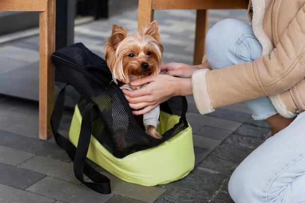 写真 ハイアングルの飼い主が犬を寝かしつける