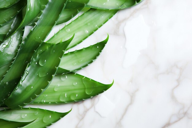 Foto angolo alto di pezzi di aloe vera su uno sfondo di marmo