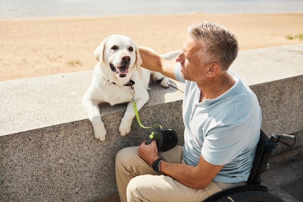 High angle portrait of adult man in wheelchair enjoying outdoors with white dog in sunlight, copy space