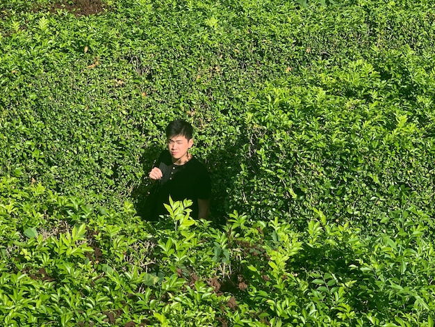 Photo high angle portrait of young man standing amidst plants