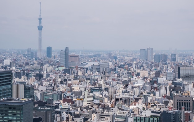 都市風景のハイアングルショット