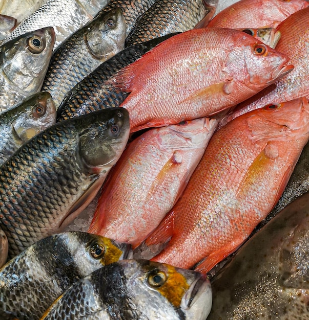 High angle shot of different fresh fishes in the market