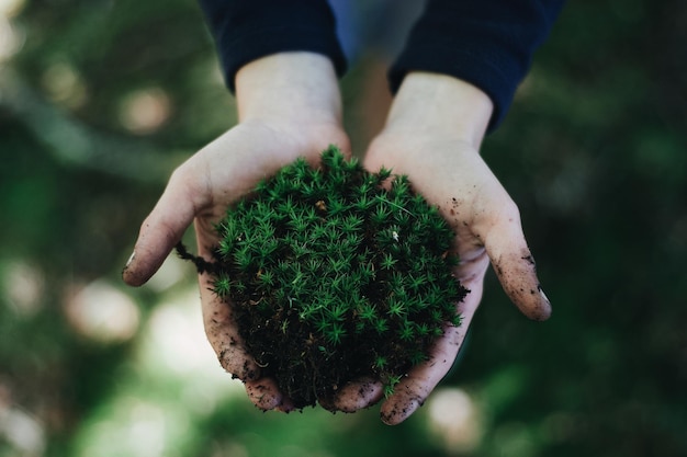 Inquadratura dall'alto di una persona che tiene manciate di fango ed erba verde sopra il suolo