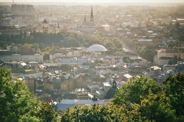 High angle shot of townscape