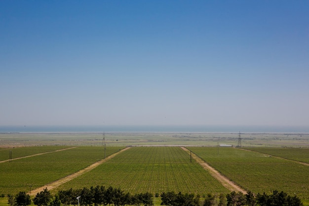 A high angle shot of vineyards under a cloudy sky