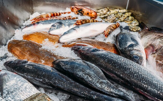 high angle still life of variety of raw fresh fish chilling on bed of cold ice in seafood market stall