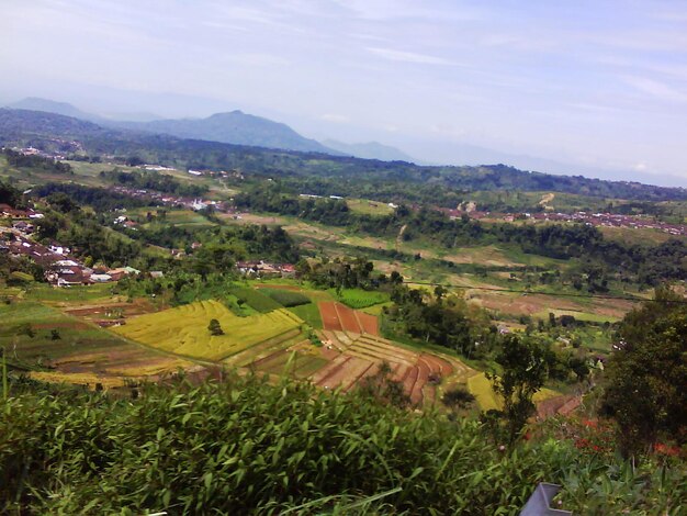 High angle view of agricultural field against sky