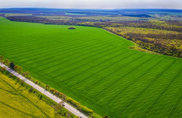 Photo high angle view of agricultural field