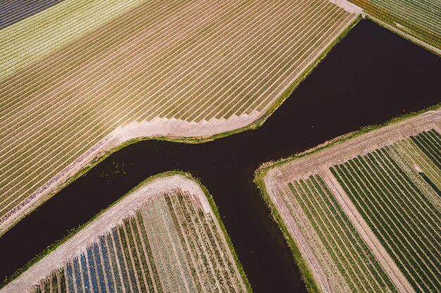 Foto vista ad alto angolo del campo agricolo