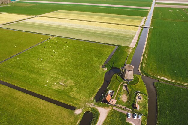 High angle view of agricultural field