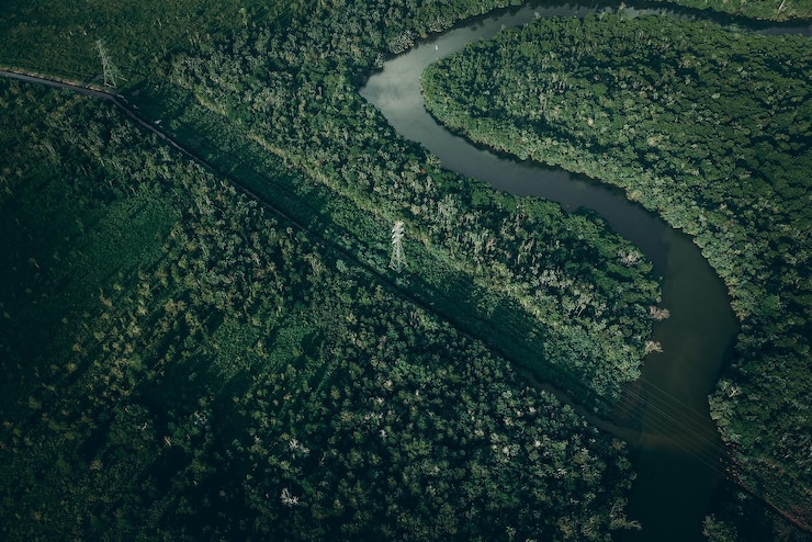 Photo high angle view of agricultural field
