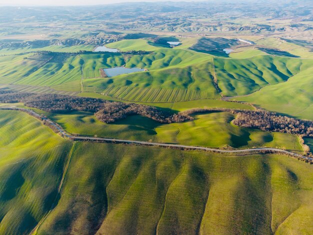 Foto vista ad alta angolazione del campo agricolo