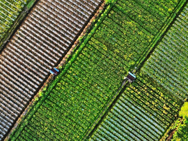 Photo high angle view of agricultural field