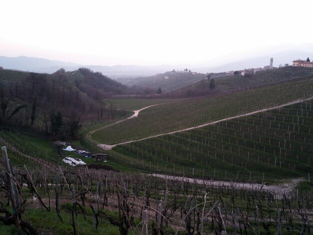 High angle view of agricultural field