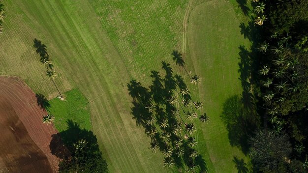 High angle view of agricultural field