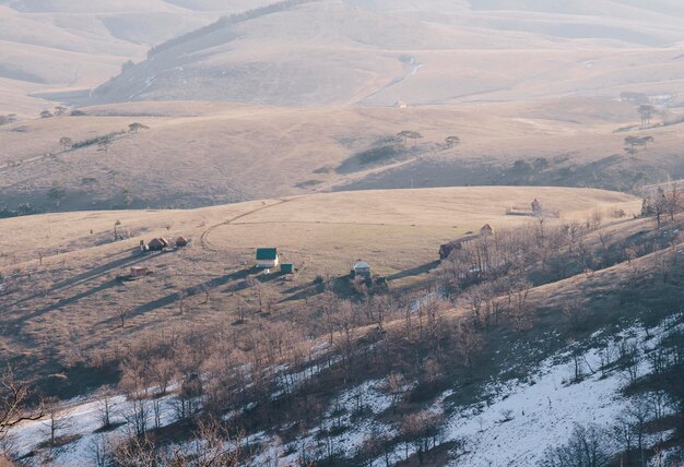 high angle view of agricultural field