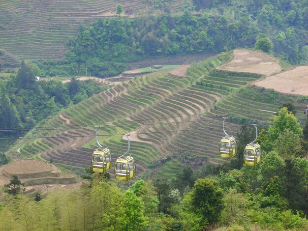 Photo high angle view of agricultural field