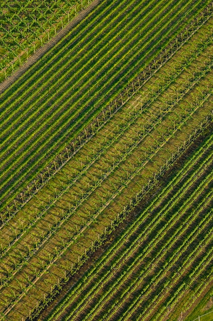 Photo high angle view of agricultural field