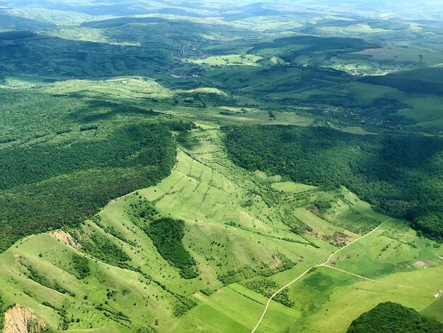 High angle view of agricultural field