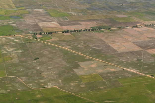 High angle view of agricultural field