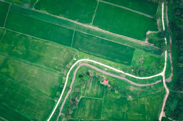 Foto vista ad alto angolo del campo agricolo