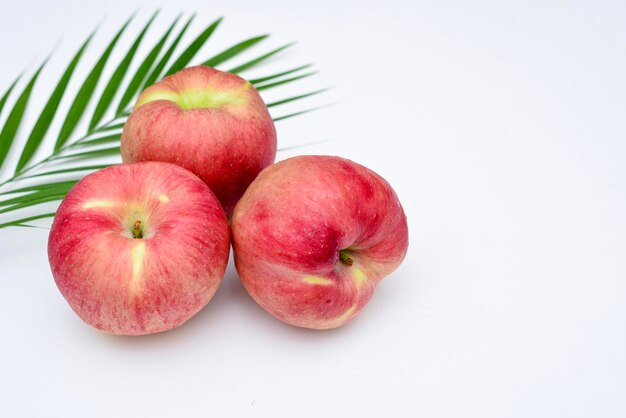 High angle view of apples on white background
