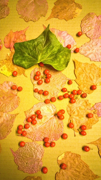 High angle view of autumn leaves and cherries on table