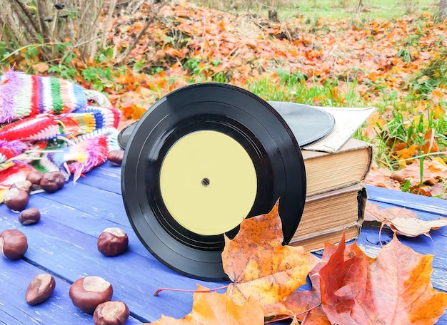 Photo high angle view of autumn leaves on table