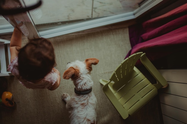 Foto vista ad alto angolo di una bambina in piedi accanto al cane a casa