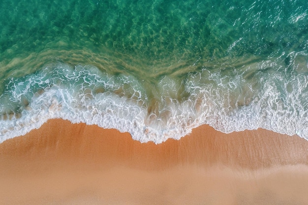 High angle view of the beach and the sea under the sunlight