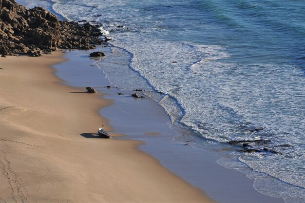 High angle view of beach