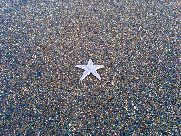 High angle view of beach