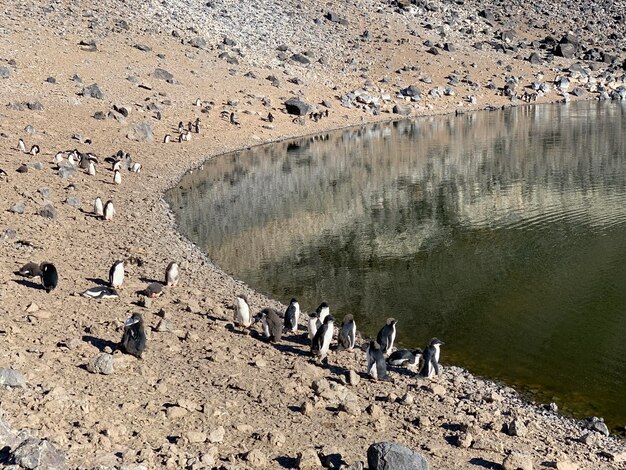 Foto vista ad alto angolo della spiaggia