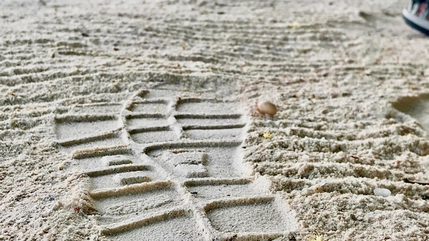 Foto vista ad alto angolo della spiaggia