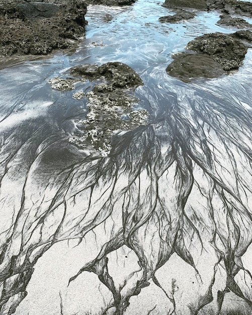 Foto vista ad alto angolo della spiaggia